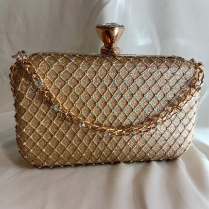 Golden Clutch For Her-Cl-117